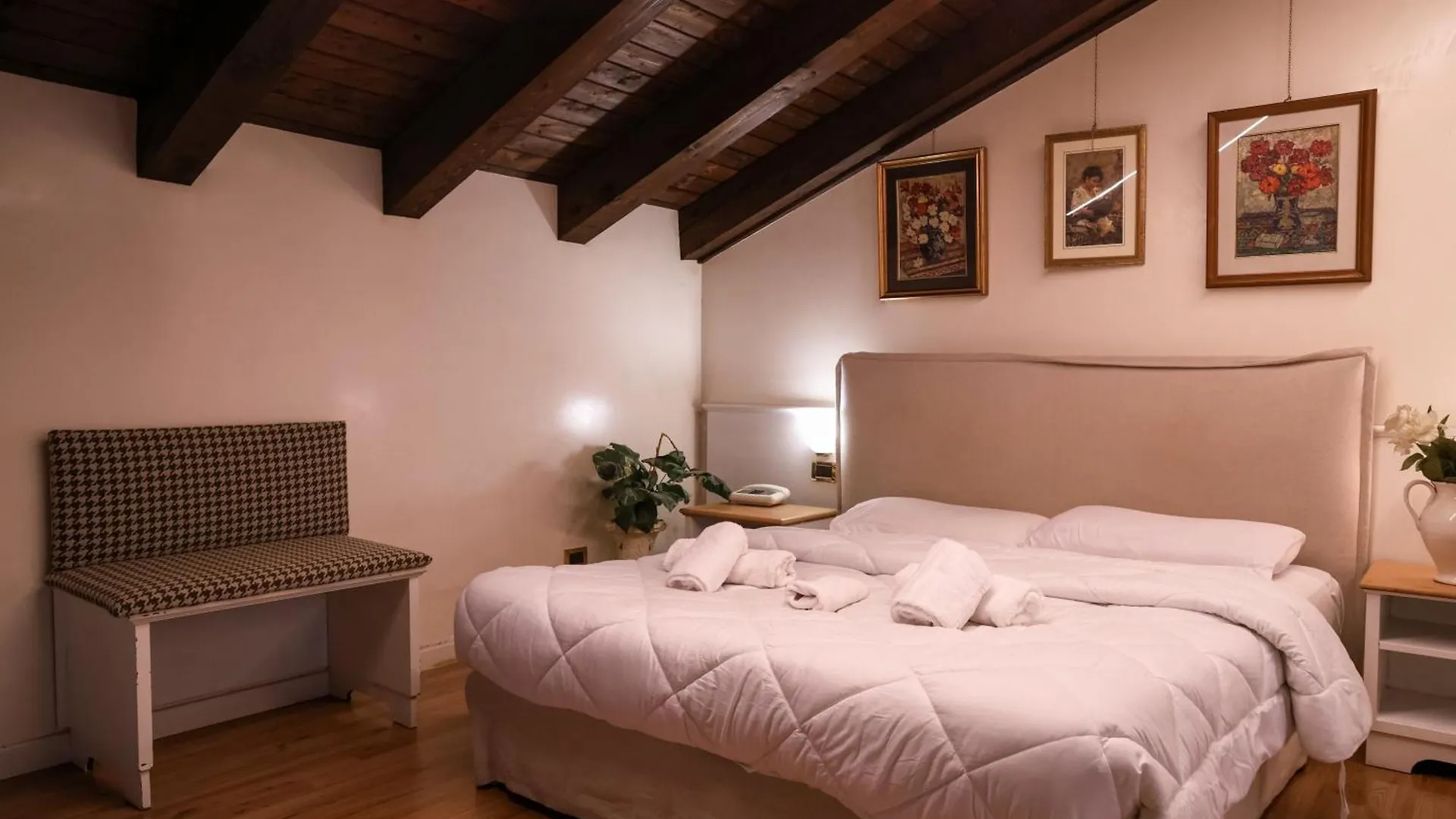 Hotel Villa Sara Местре 3*,